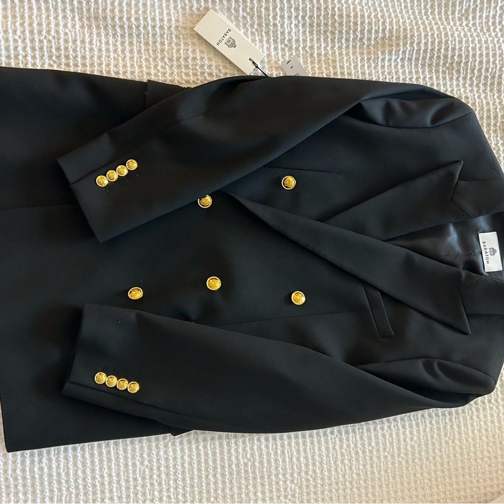 Babaton “Status” Blazer in Black